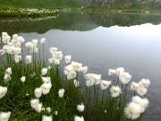 Immagini dall'alta Valle Brembana - settembre 2013 - FOTOGALLERY